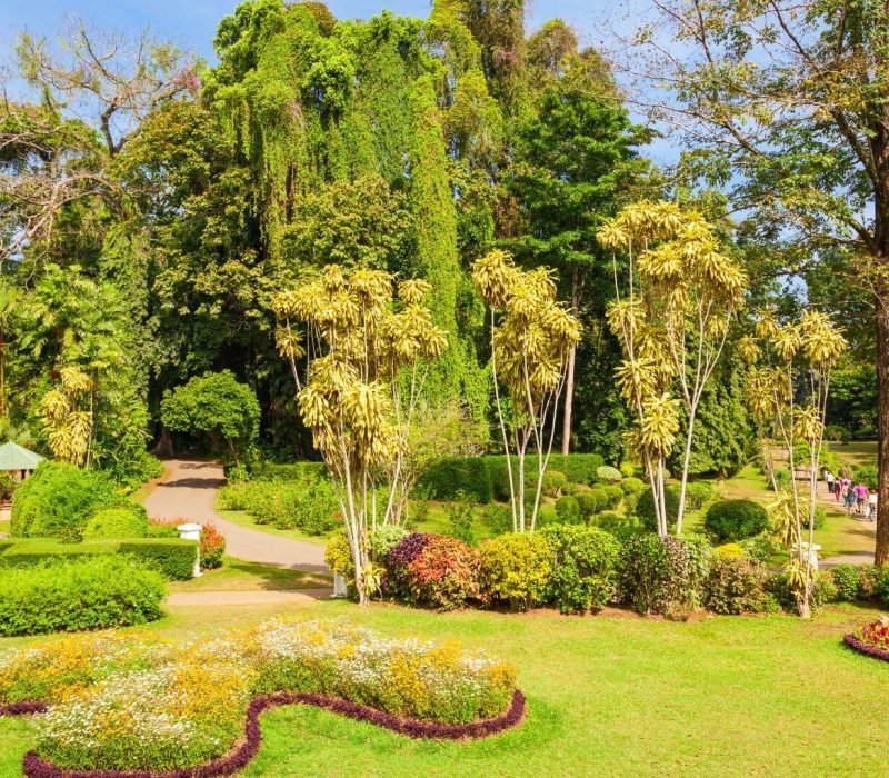 landscaped-gardens-peradeniya-sri-lanka