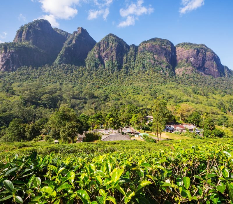 Mountains on Sri Lanka