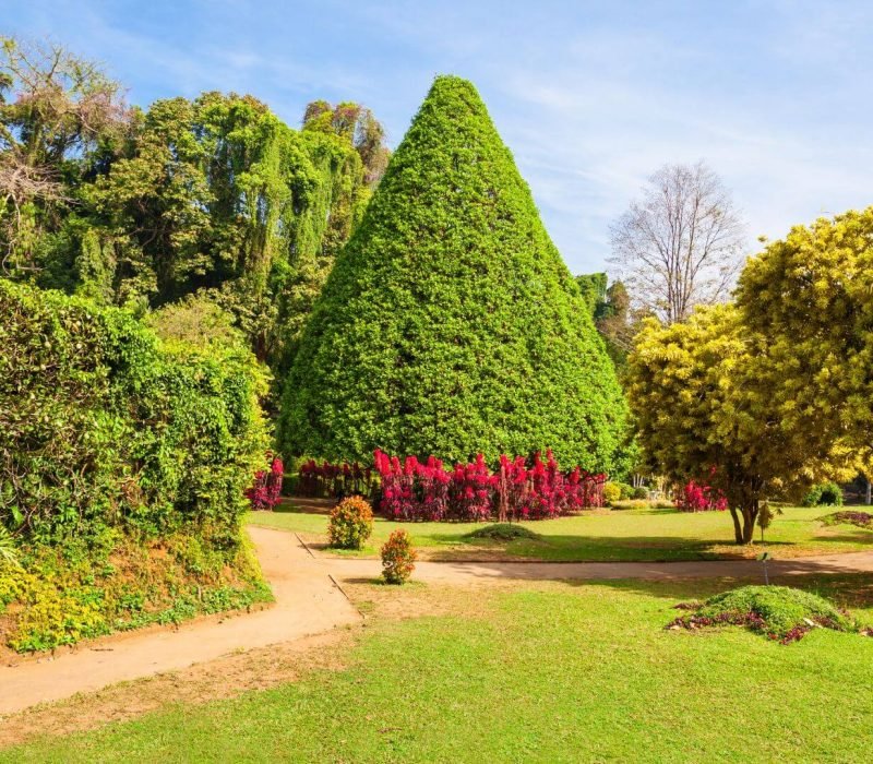 peradeniya-royal-botanical-gardens-kandy