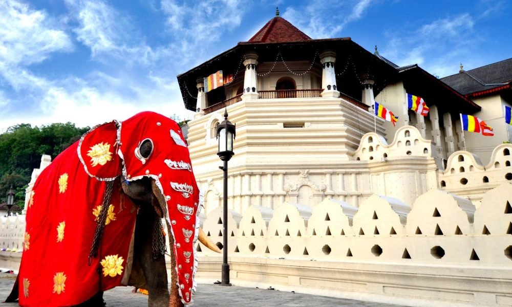 temple-of-the-tooth-kandy-ceremonial-elephant