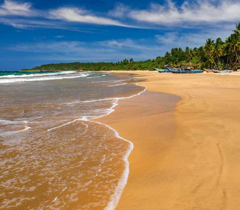 Traditional fishing boats on a sandy beach. Sri Lanka