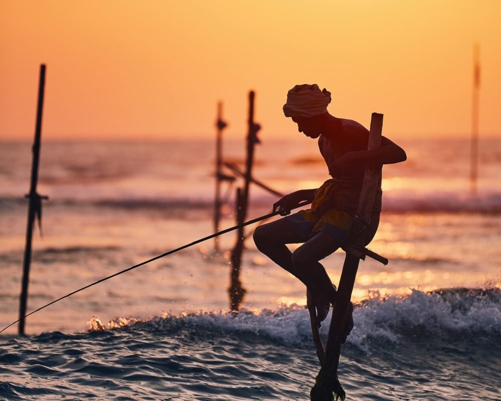 Traditional stilt fishing in Sri Lanka